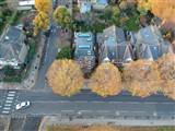 Loft conversion in Stamford Brook W6 0XH