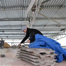 Paul doing some roofing